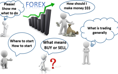 The Best Forex Trading Course for Beginners