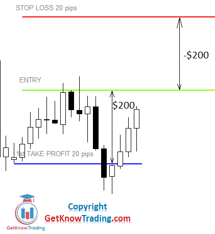 Single Risk Trading_20 pips_1